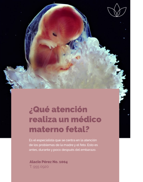 materno fetal